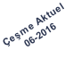 eme Aktuel 06-2016