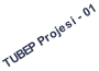 TUBEP Projesi - 01